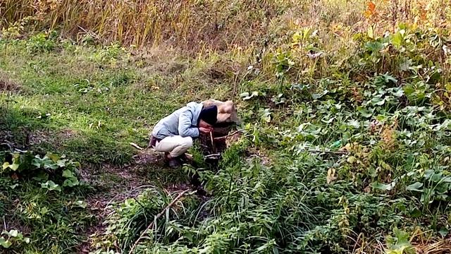 Влог: Семья Комиссаровых, идём на пикник. Жанна моя доченька ❤️ #shorts