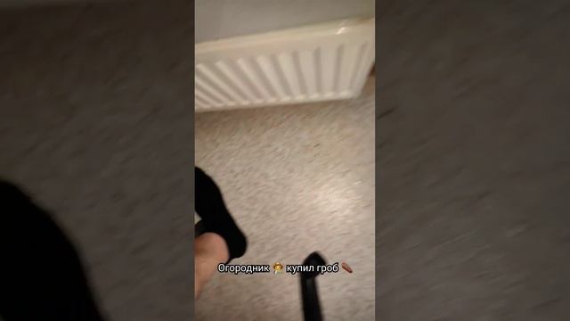 Купил горшок для рассады!🌱 смотреть онлайн