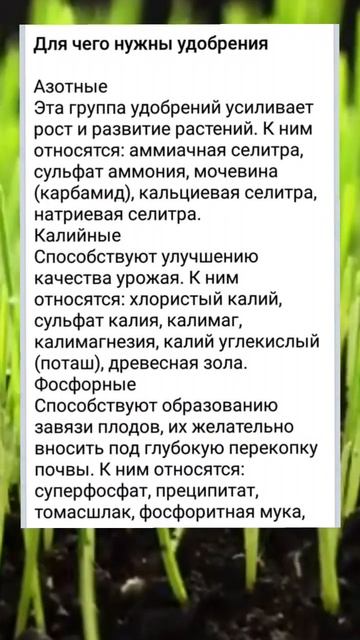 🌱Для чего нужны азот калий и фосфор #удобрение #сад #с? смотреть онлайн
