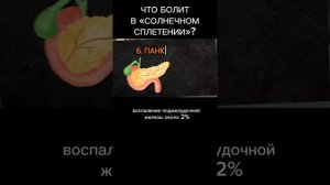 Что болит в «солнечном сплетении»? #гастроэнтеролог #г