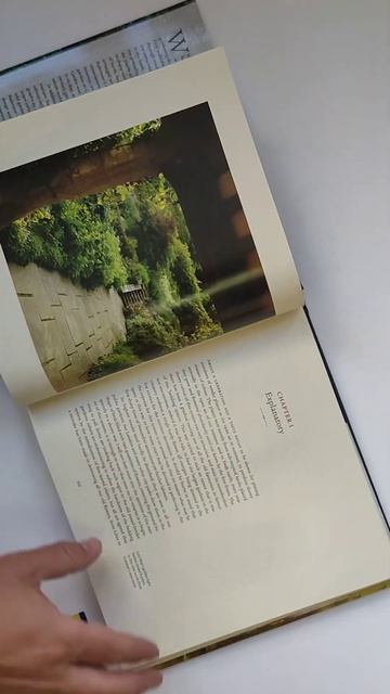 Книга The Wild Garden (Дикий сад) смотреть онлайн