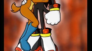 Соник и Эми против Салли и Шедоу