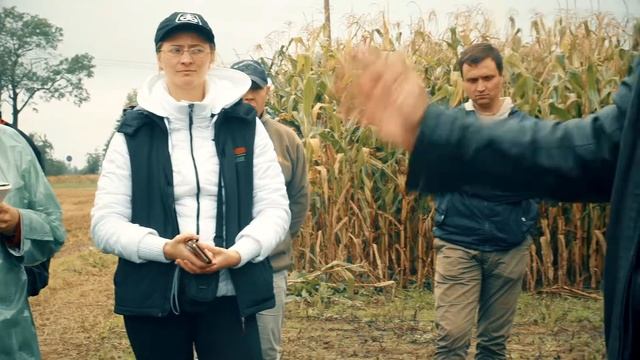 День поля кукурузы 2017