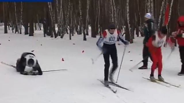 Прикол с лыжником смотреть онлайн