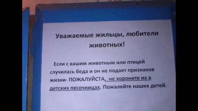 Позитив и юмор в смешных фотографиях VI смотреть онлайн