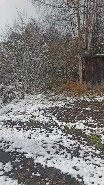 Посев чеснока 28 сентября смотреть онлайн