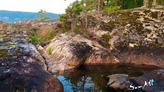 «Остров 2020 смотреть онлайн