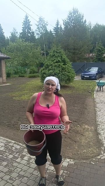 Спортивный газон хорошо или плохо? #ландшафт #дача #кур смотреть онлайн