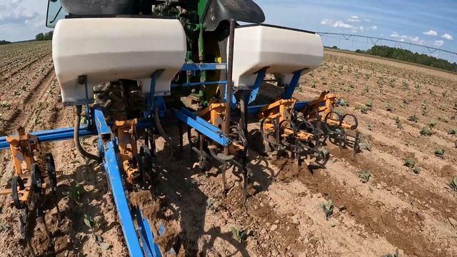 11.06.2024. Внесение Кальциевой селитры. Междурядная обраб смотреть онлайн