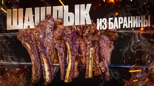 Шашлык из барашка. Корейка на ребрах молодого барашка — сочность и нежность! шашлык из баранины!