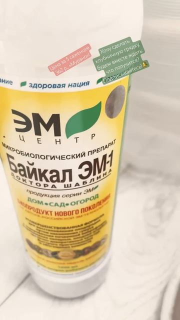 Новости ☘️ огородика!#дачный #дачныйблог#саженцы#дач? смотреть онлайн