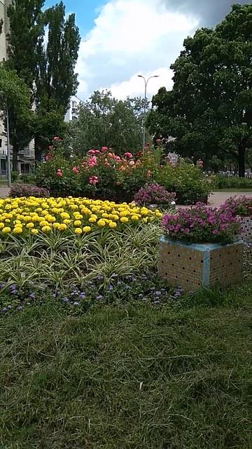 #shorts #київ Клумба з пташкою, Русанiвка, паркова зона, че? смотреть онлайн