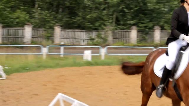 Костромская Выездка смотреть онлайн