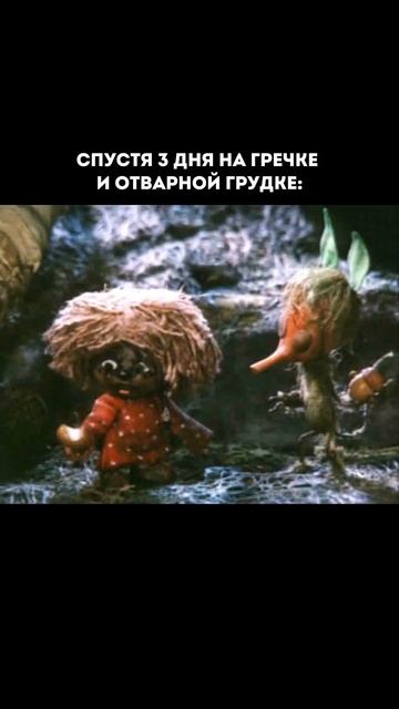 Дарю 15 рецептов вкусных пп-ужинов🍱Забрать можно в Telegram — ссылка в шапке канала (11)