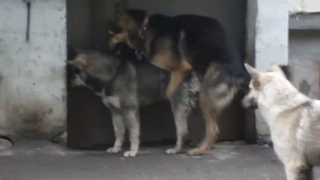 Не надо стесняться смотреть онлайн