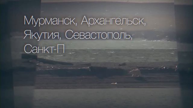Киномарафон «Содружество Арктических фестивалей»