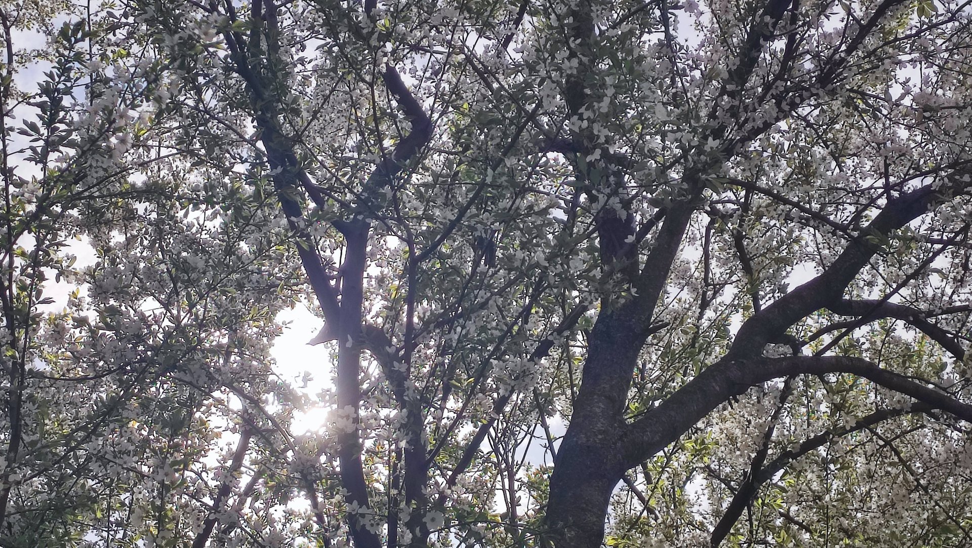 Большой влог за две недели. смотреть онлайн