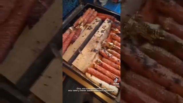 Зубр 15 квт 154 кв/ - на тирсі, качанах та обзелі 6 годин на смотреть онлайн