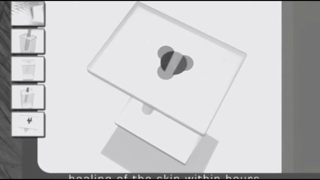 Стволовые клетки