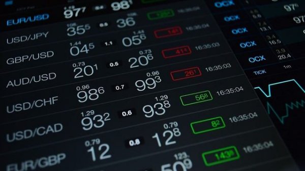 Educational Resources and Training Materials Offered