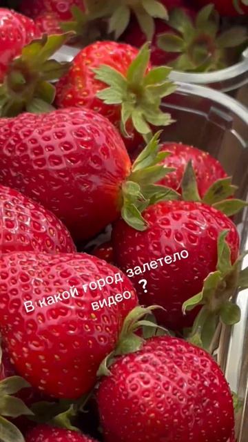 Клубника в Омске Омская ягода смотреть онлайн