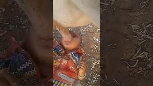 Карава и малыш