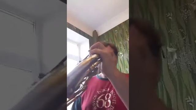 Валторна J. Wahlich смотреть онлайн