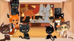 Реакция котов-воителей на meme 7/??(читать описание)