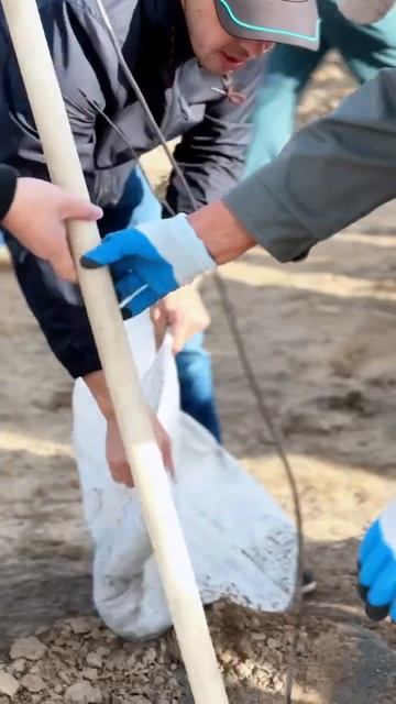 В Атырау прошла республиканская акция "Всеказахстанс? смотреть онлайн