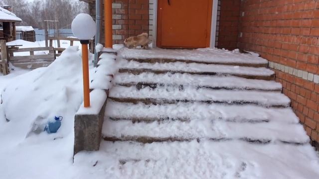 9 февраля 2016 г.