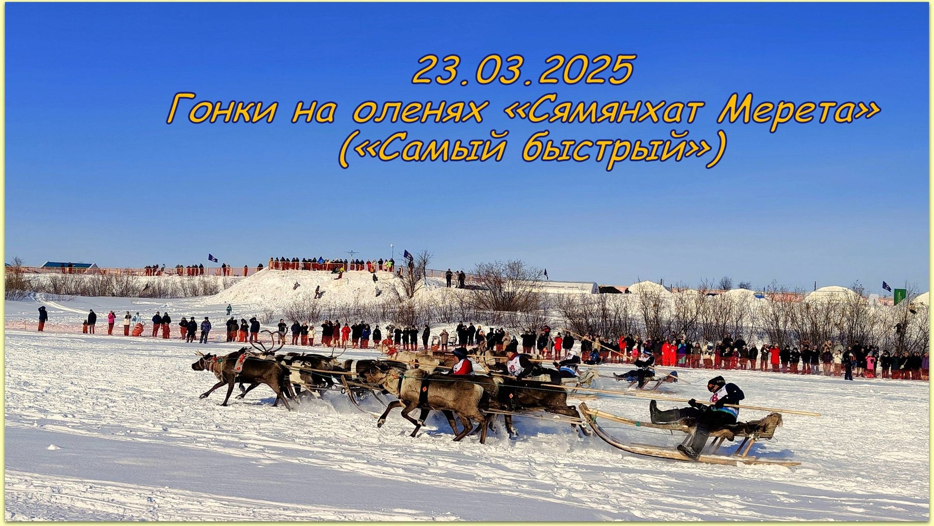 23.03.2025 Нарьян-Мар. Гонки на оленях «Сямянхат Мерета» («Самый быстрый») смотреть онлайн