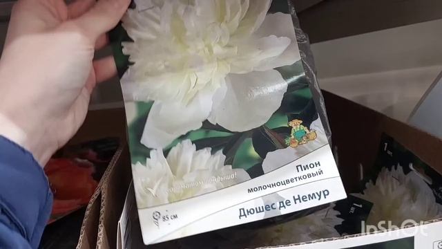 ОБЗОР ПОСАДОЧНОГО ассортимена Лемана ПРО (Леруа Мерле смотреть онлайн