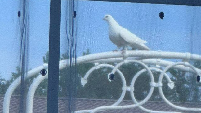 Прогулка по ВОСТОЧНОМУ садику 06.05.2023г.