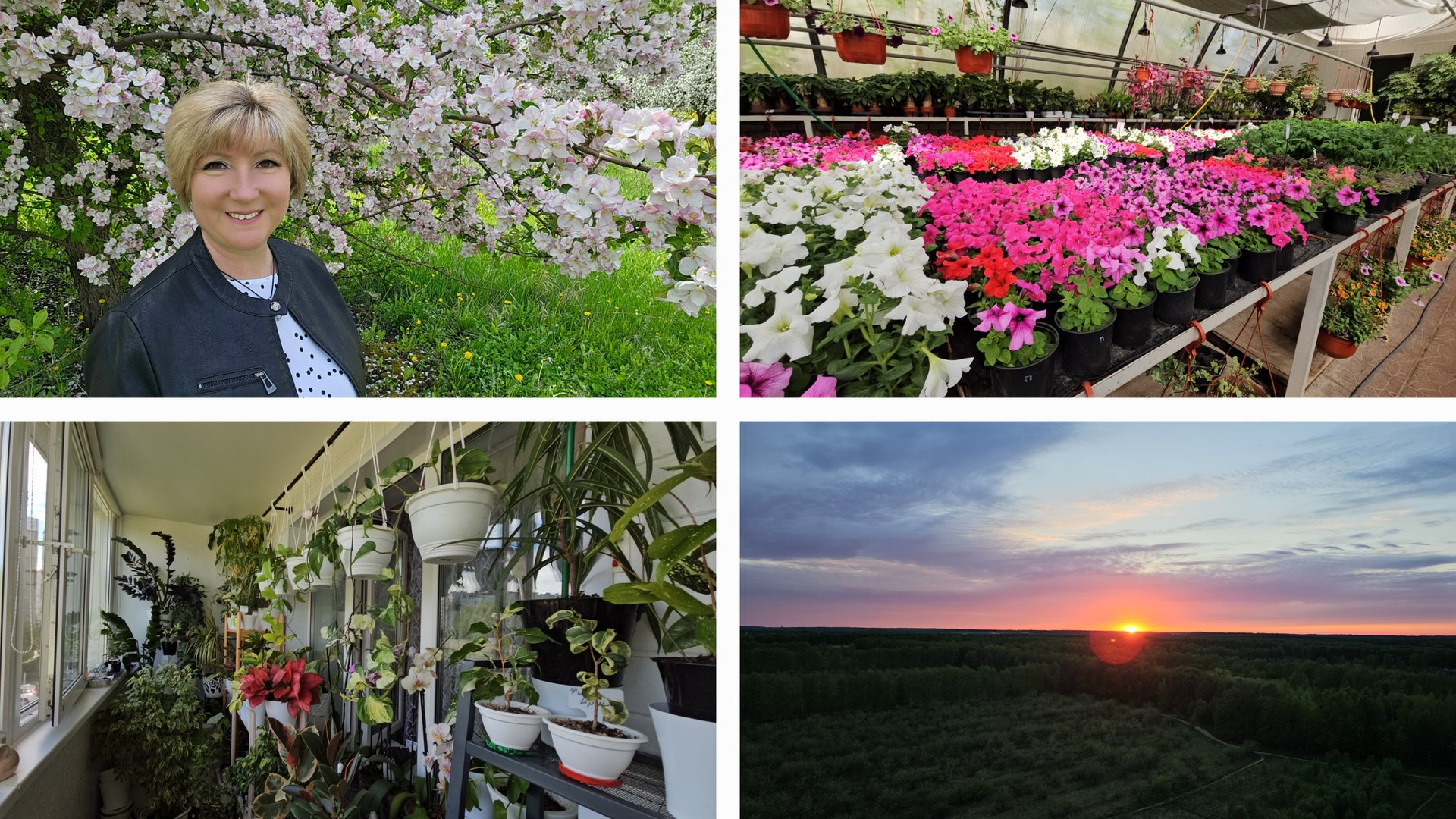 06.05.25г Яблоневый сад/ Садовый центр/ Наши покупки/ Комнатные растения/ Красивый вид/ Закат смотреть онлайн