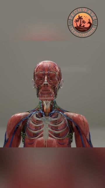 ПЕРЕСАДКА ЛИЦА И ГОЛОВЫ УЖЕ СКОРО!