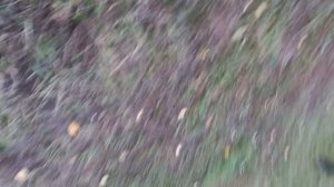 4 часть зомби