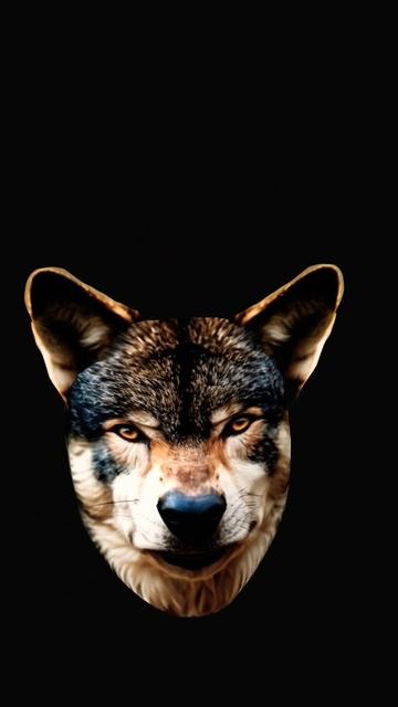 Сигма волк смотреть онлайн