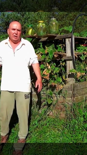 Сад и огород.Самый лучший мини-парник который придума? смотреть онлайн