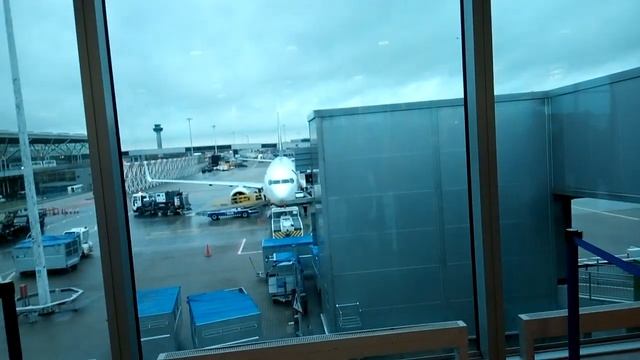 i Станстед Аеропорт Черга на посадку Stansted Airport Boarding Queue смотреть онлайн