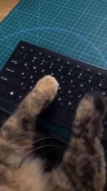 Работают все, никто без дела не сидит!😄В студии Syndicate ? смотреть онлайн