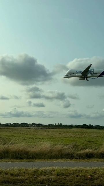 20 августа 2024 г. смотреть онлайн