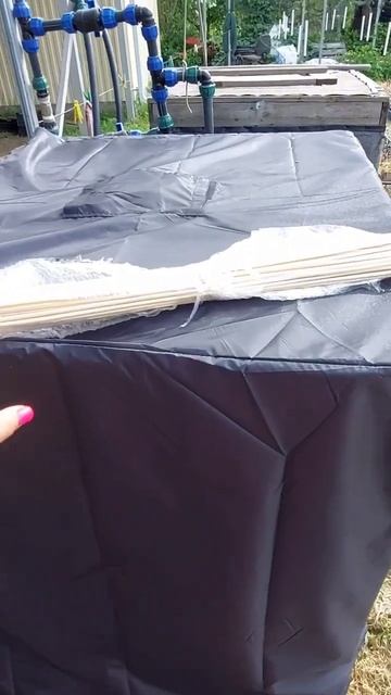 Бамбуковые опоры для саженцев смотреть онлайн