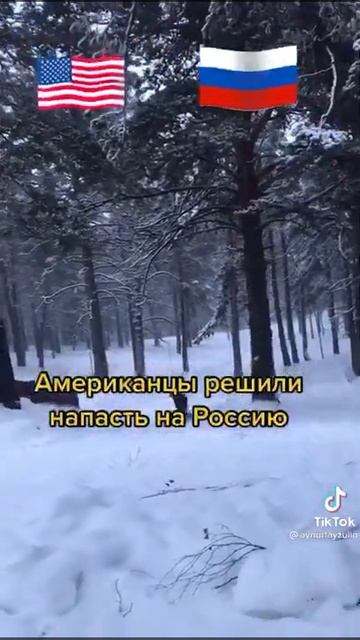 Шутки Задорнова смотреть онлайн
