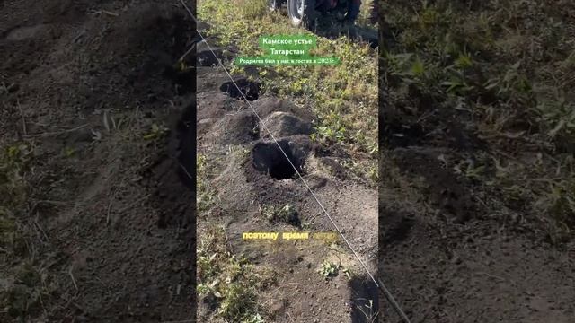 У нас очень интересная почва. Местами известь местами смотреть онлайн