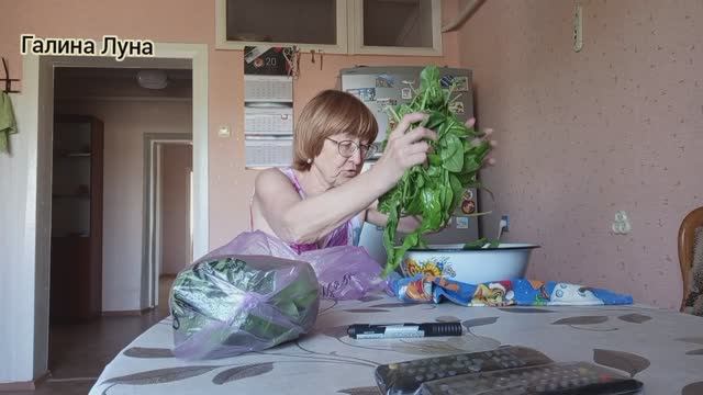 Дела домашние и огородные// заготовка щавеля//отвечу на комментарии смотреть онлайн