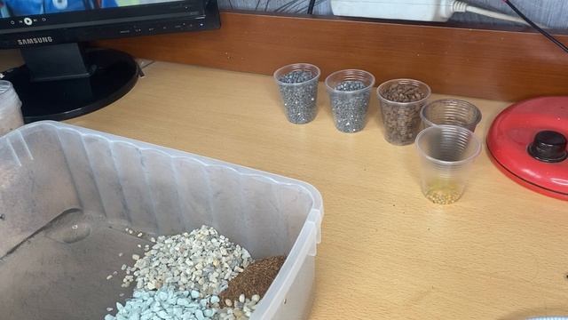 Грунт для суккулентов 💡