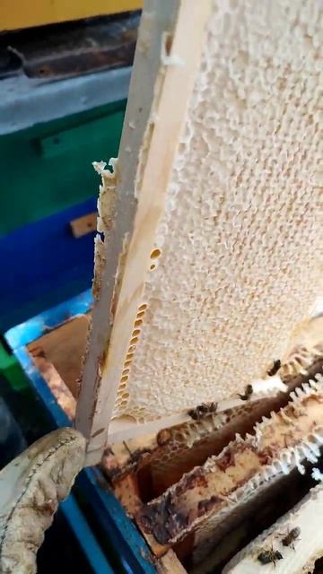 почему мы используем рамки собственного производства?!