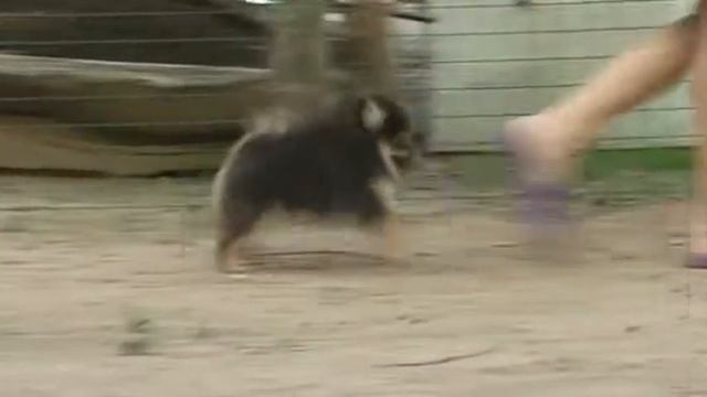 Бьюти