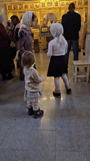 Воскресенье #рекомендации #дети #топ #семья #огород #сч? смотреть онлайн