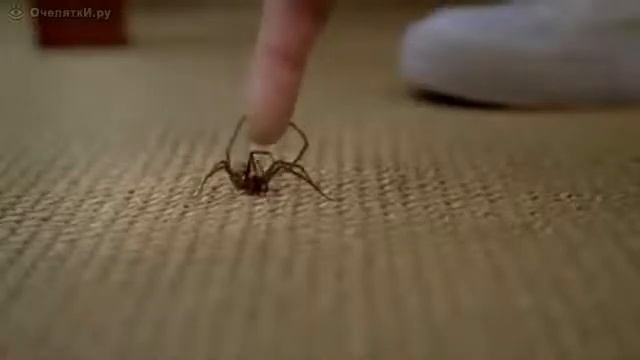 Вот это поворот смотреть онлайн